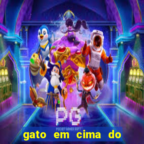 gato em cima do telhado significado espiritual